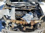 2010 Toyota Prius  for Sale in Nisku, AB - Burn - Engine