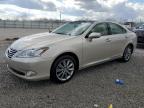 2012 Lexus Es 350 للبيع في Louisville، KY - Hail