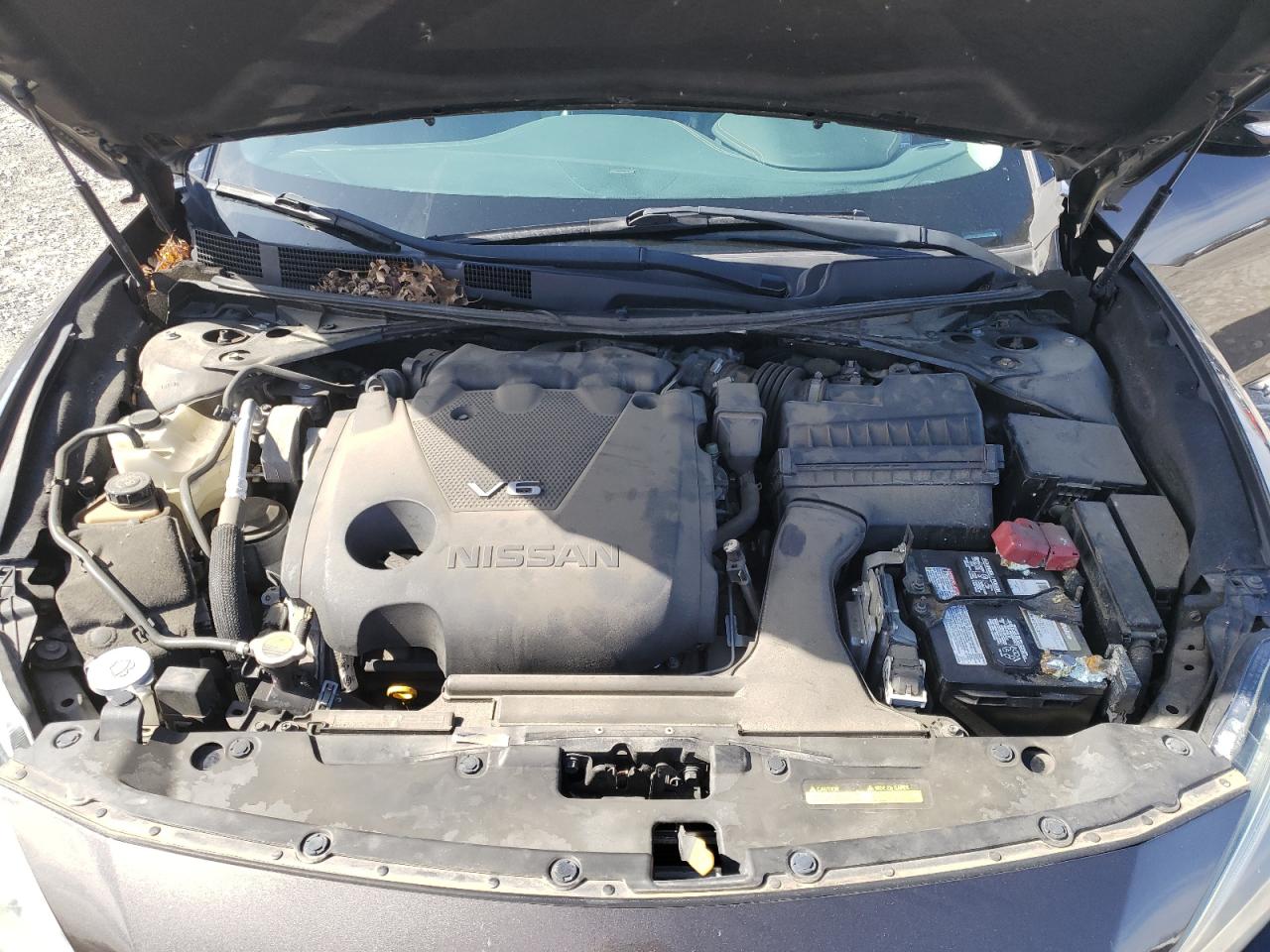 1N4AA6AP1GC380769 NISSAN MAXIMA 2016