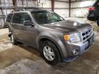 2010 Ford Escape Xlt for Sale in Eldridge, IA - All Over