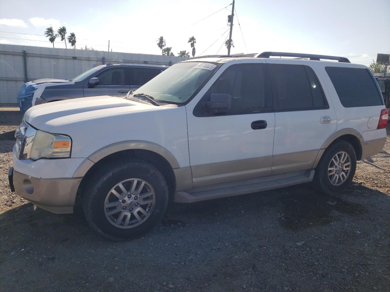 2010 Ford Expedition Eddie Bauer en Venta en Mercedes, TX - Rear End