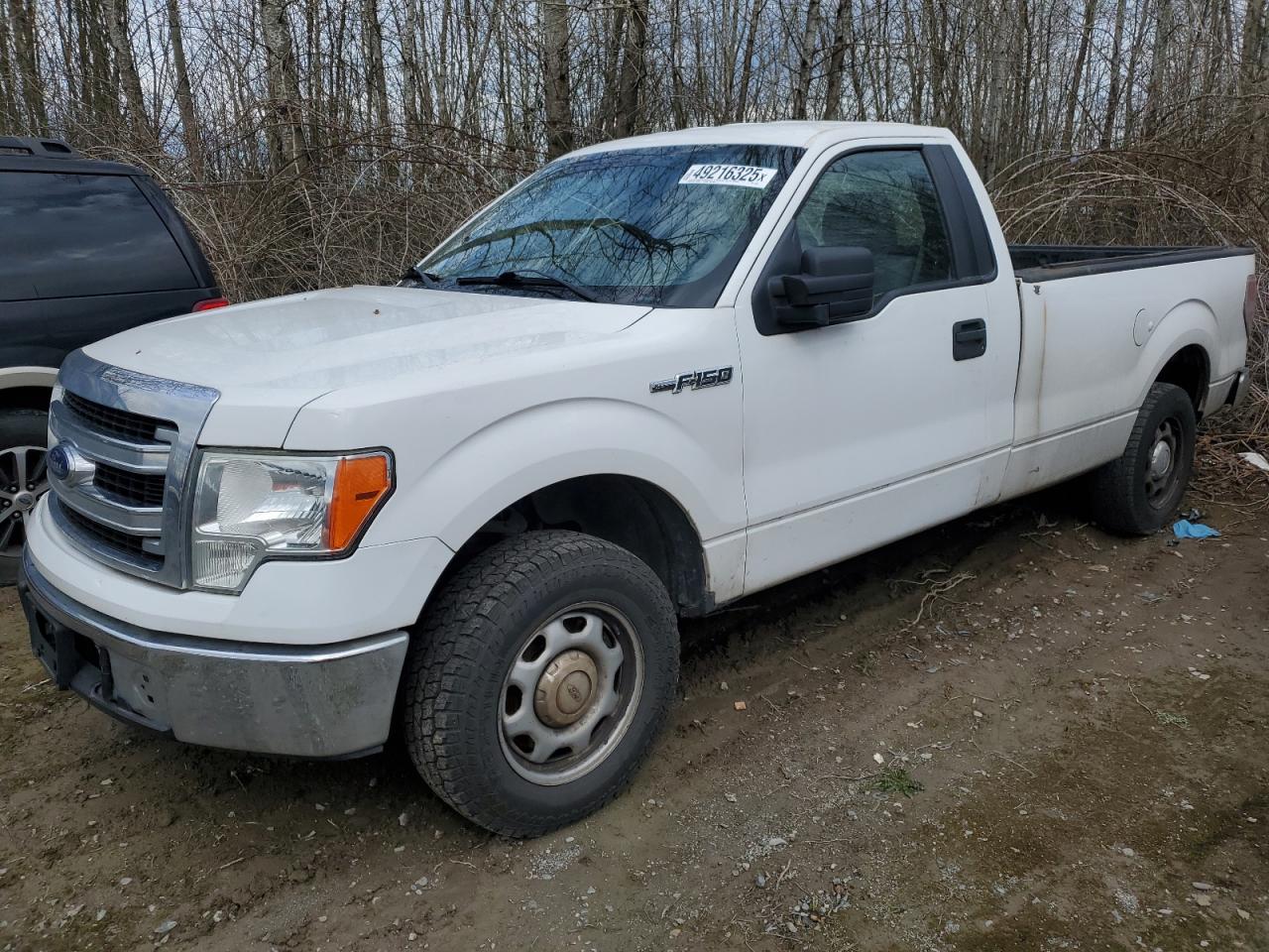2014 Ford F-150 - Image 1