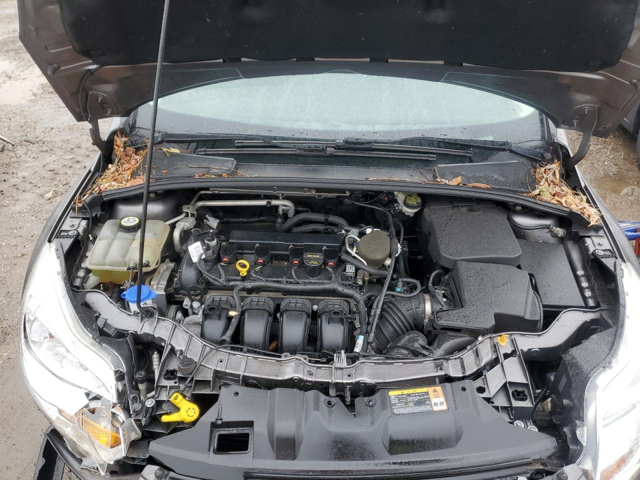 2013 Ford Focus - Image 11