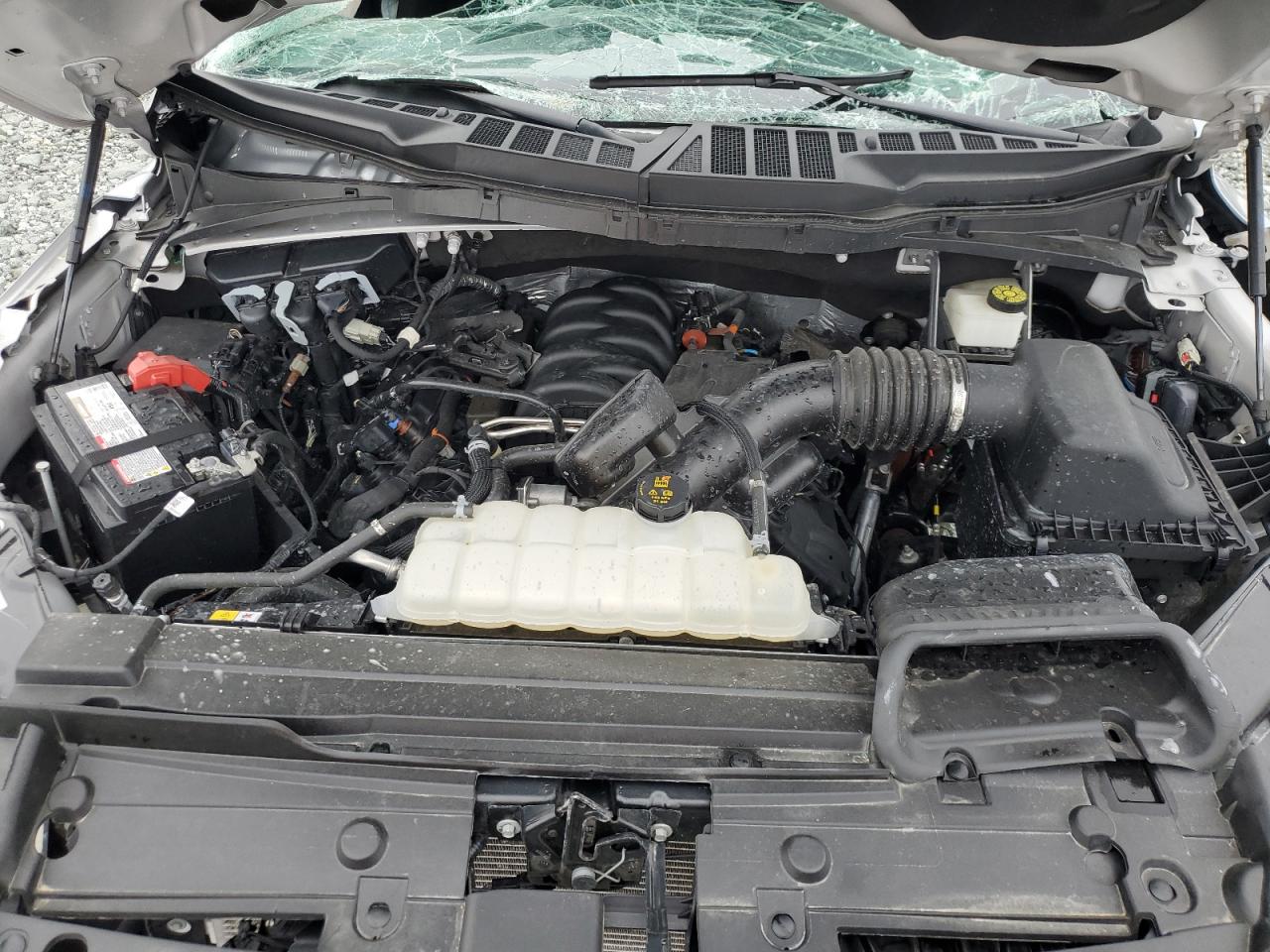 1FTEW1C53PFC56822 FORD F-150 2023