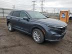 2024 Honda Cr-V Exl for Sale in Elgin, IL - Side