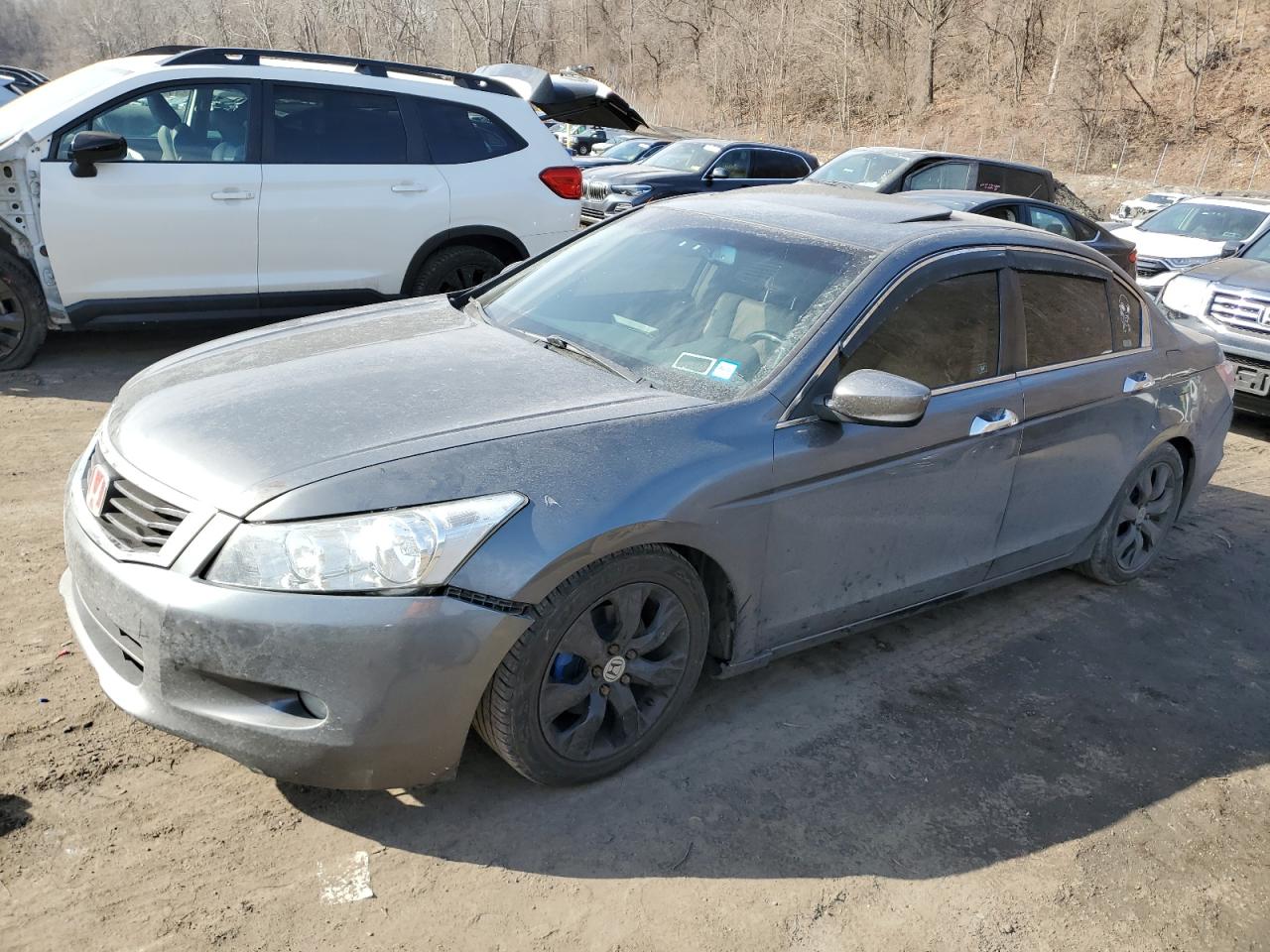 2008 Honda Accord - Image 1