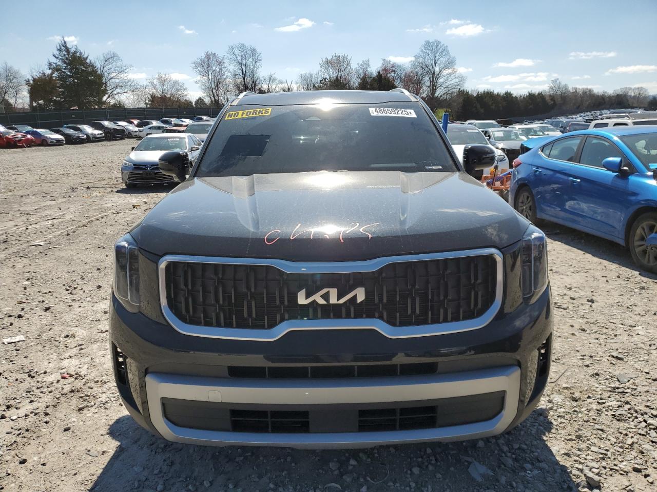 2023 Kia Telluride - Image 5