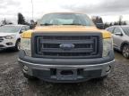 2013 FORD F150 à vendre chez Copart OR - PORTLAND NORTH