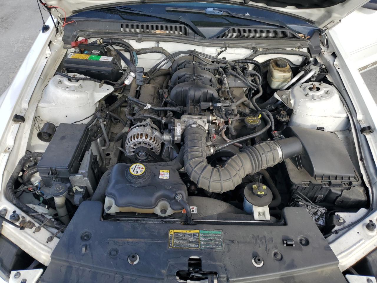 2006 Ford Mustang VIN: 1ZVFT80N565159911 Lot: 45303175