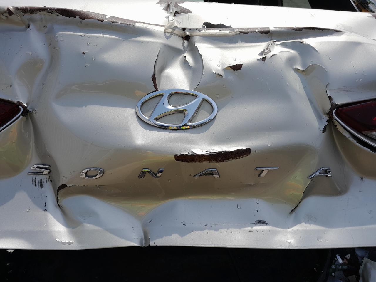 KMHE341G6KA509423 - 2023 Hyundai Sonata - #49191205