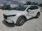 2025 Honda Cr-V Exl zu verkaufen in Opa Locka, FL - Side