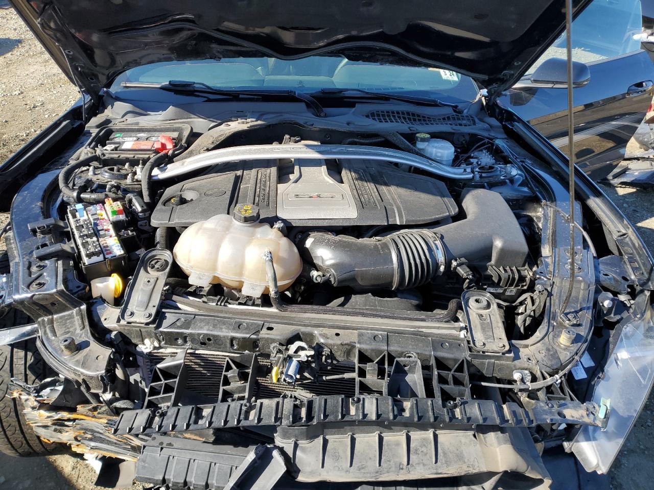 1FA6P8CF9K5163553 FORD MUSTANG 2019