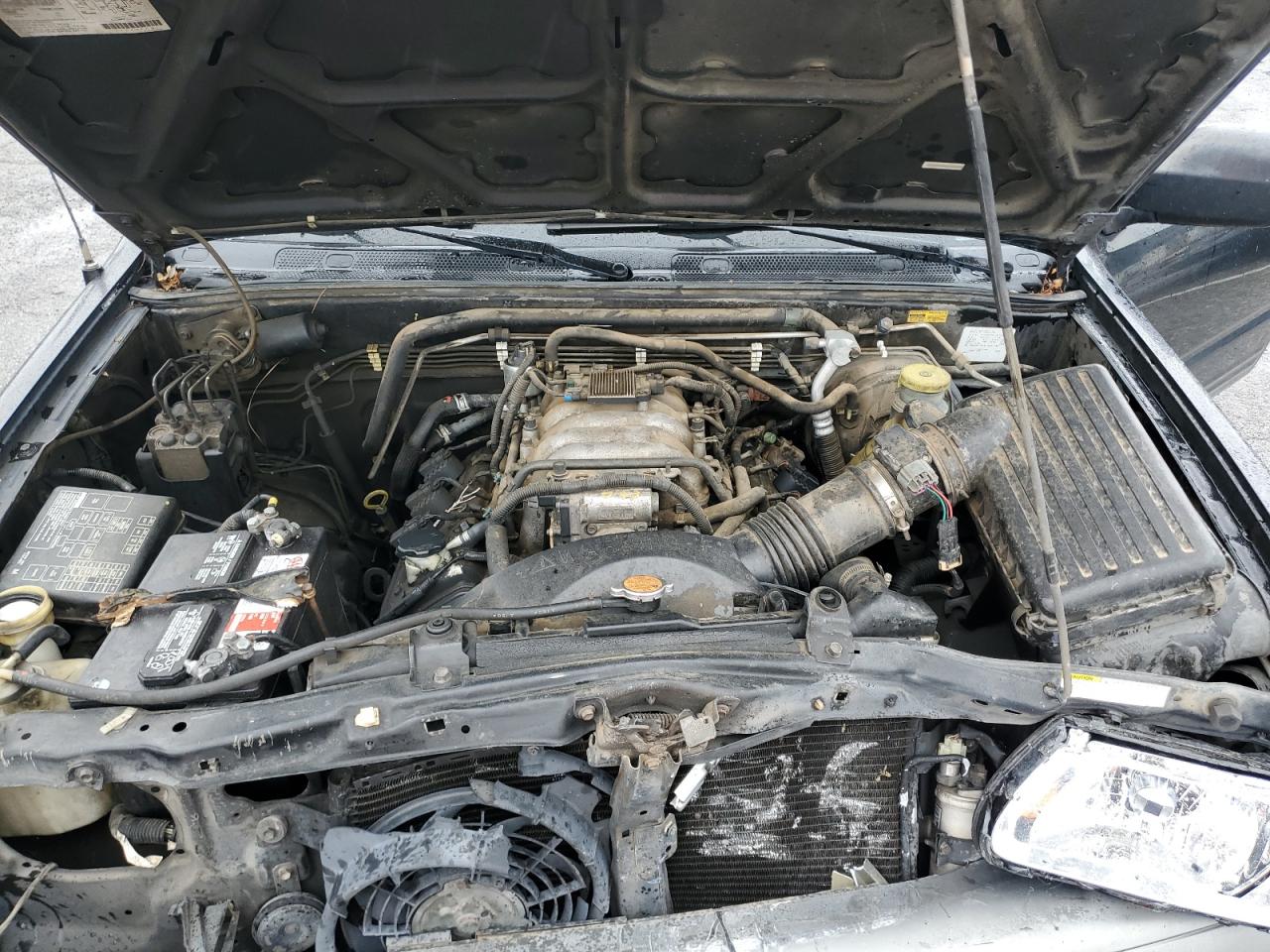 2002 Isuzu Rodeo S VIN: 4S2DM58W424304881 Lot: 49296285