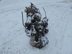 2019 Skidoo Skandic for Sale in Montreal-est, QC - Burn