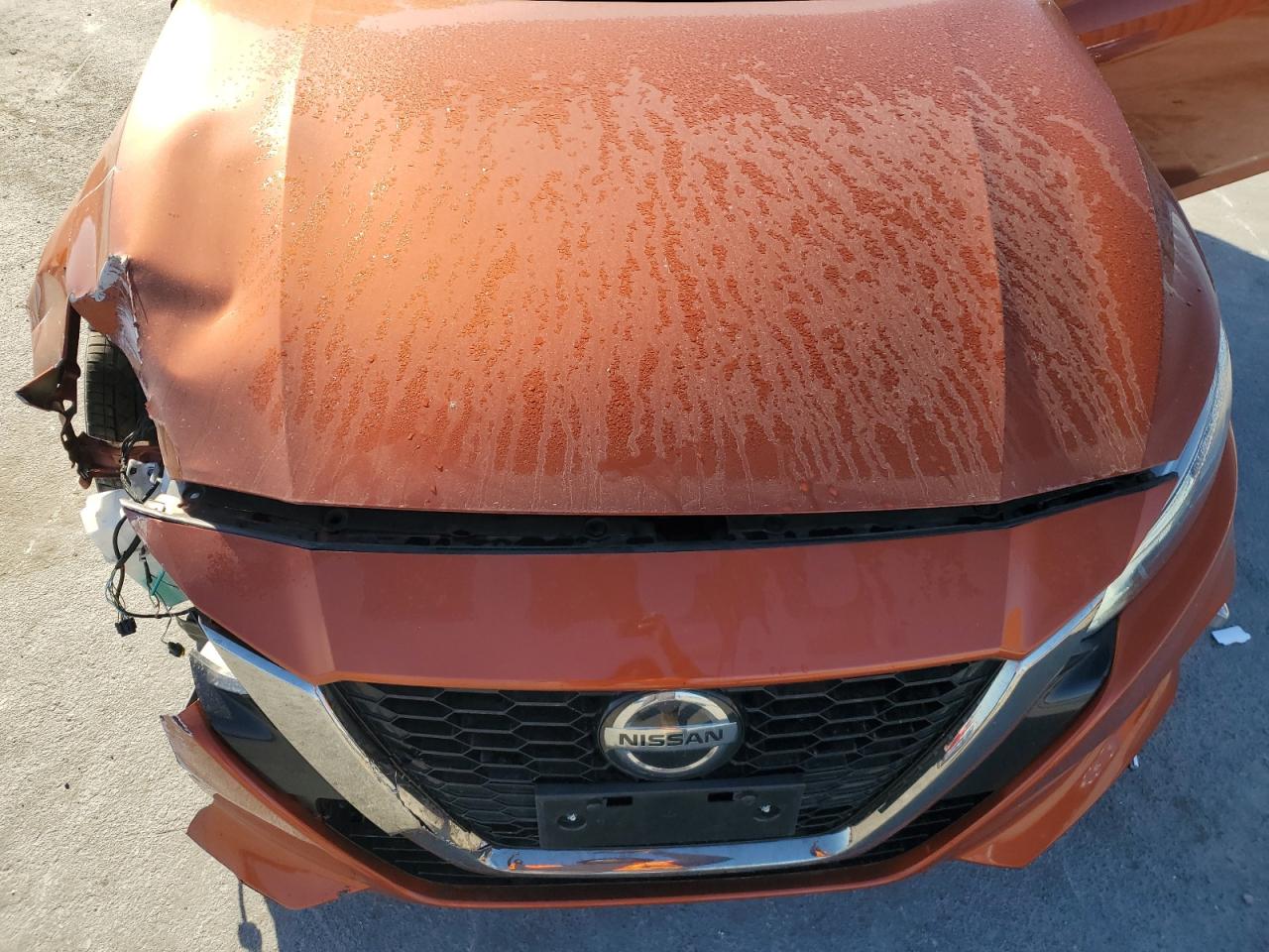 1N4BL4CV6NN323239 NISSAN ALTIMA 2022