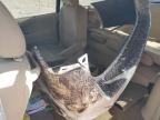 2010 Honda Odyssey Ex for Sale in Conway, AR - All Over