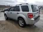 2009 Ford Escape Xlt for Sale in Louisville, KY - Hail