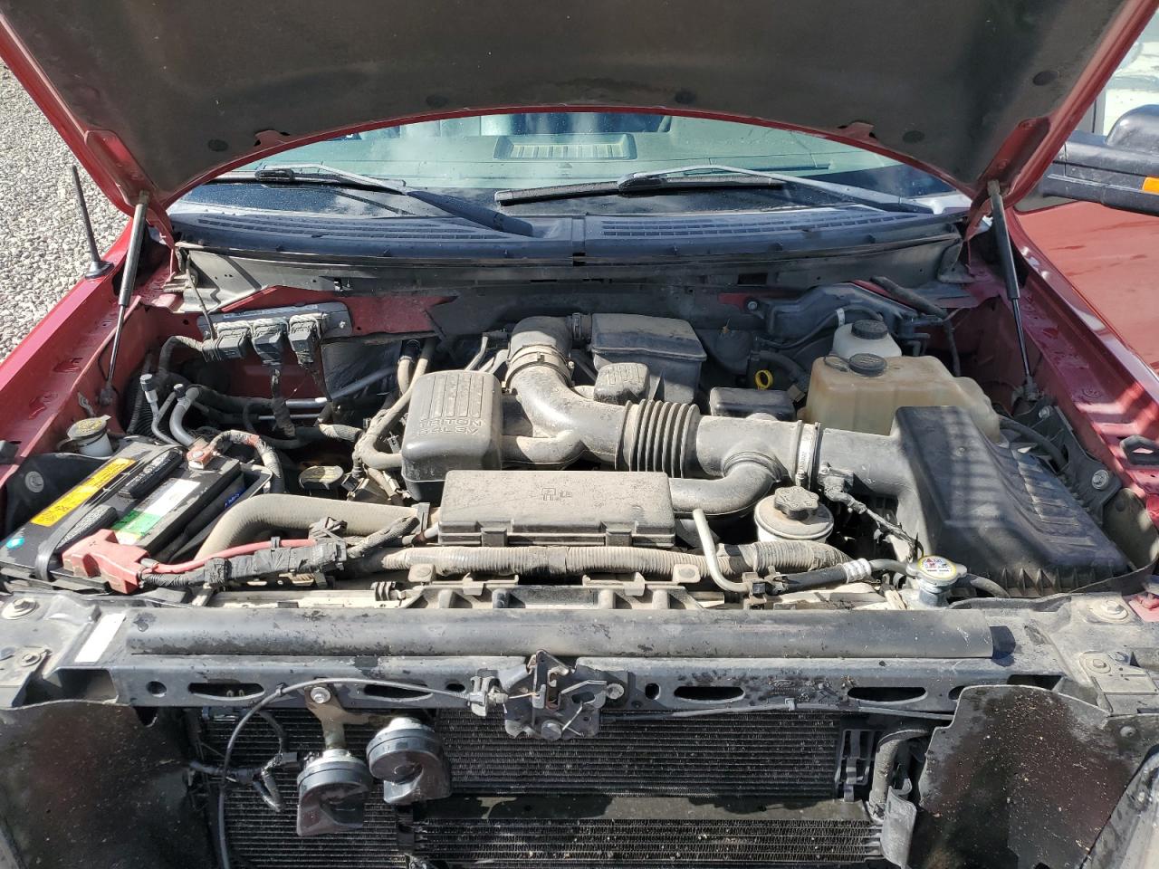 2010 Ford F-150 - Image 11