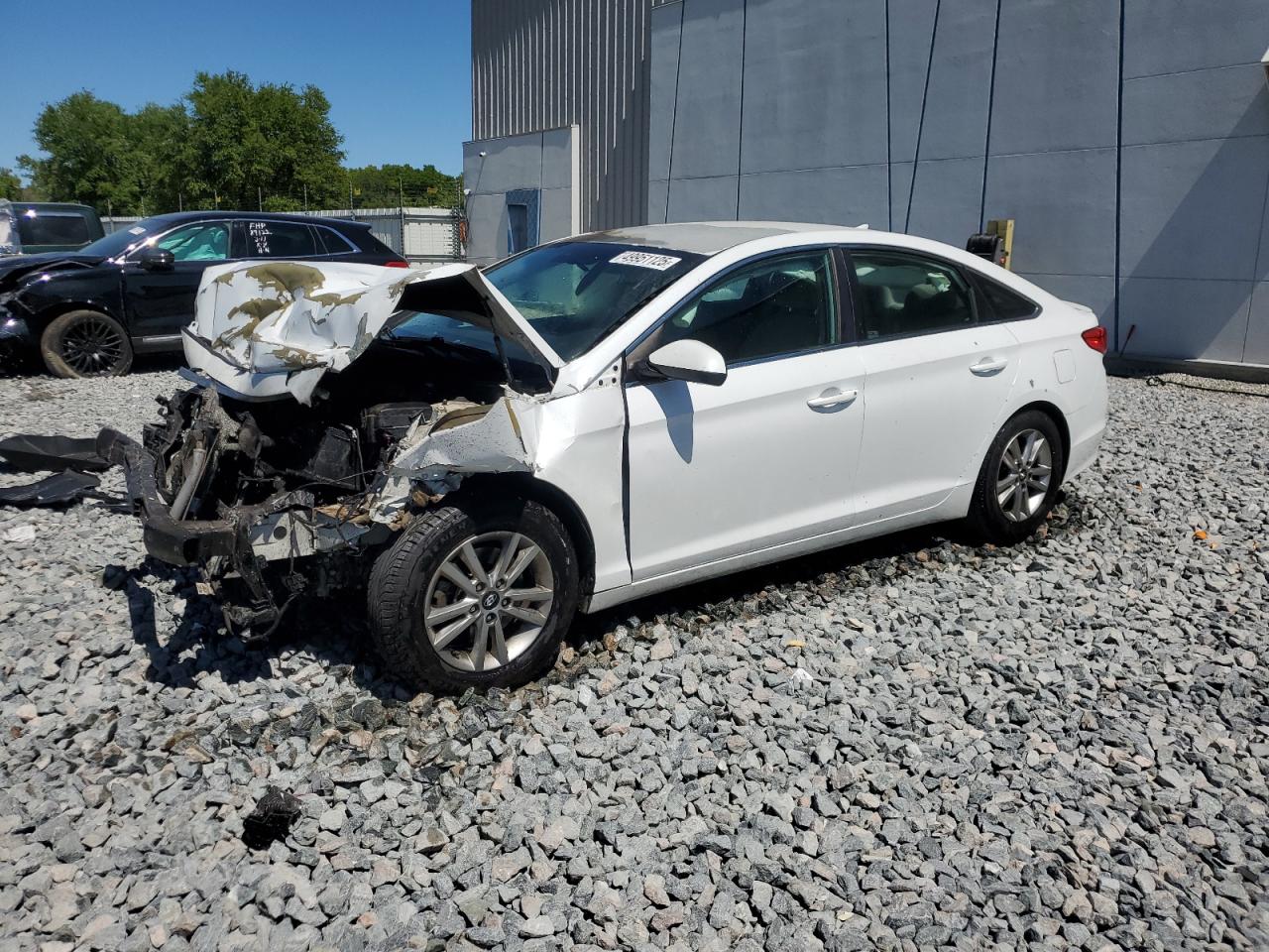 5NPE24AF2GH388050 HYUNDAI SONATA 2016