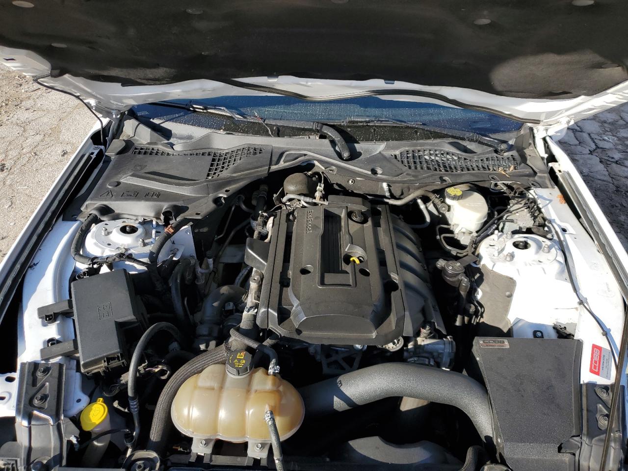 1FA6P8TH0G5243879 FORD ALL Models 2016
