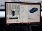 2023 Tesla Model Y  for Sale in Littleton, CO - Side