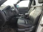 2010 Ford Escape Limited for Sale in Elgin, IL - Front End