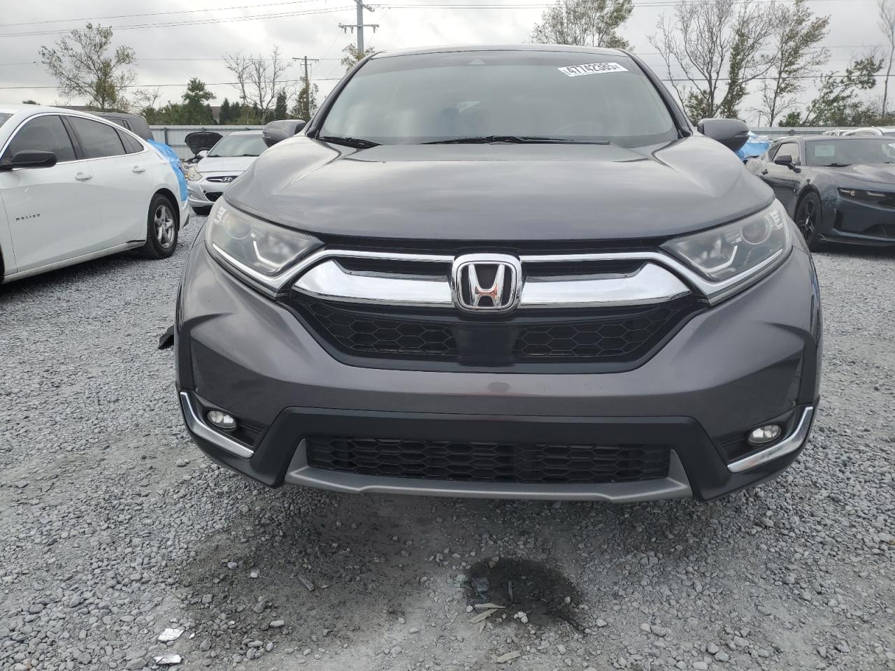 2019 Honda CR-V - Image 5