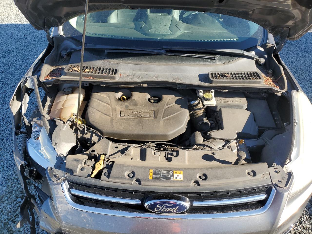 2013 Ford Escape Sel VIN: 1FMCU0H92DUC73455 Lot: 49423275