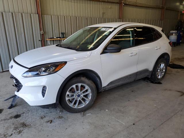  FORD ESCAPE 2022 White