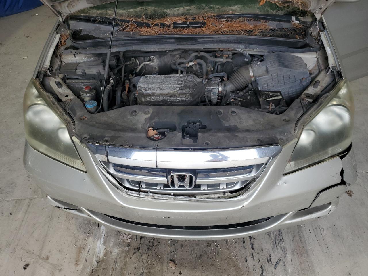 2007 Honda Odyssey Ex VIN: 5FNRL38427B407563 Lot: 48264385