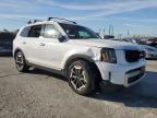 2024 Kia Telluride Ex for Sale in Sun Valley, CA - All Over
