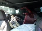 Greenwell Springs, LA에서 판매 중인 2023 Chevrolet Tahoe K1500 Z71 - All Over