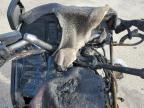 1986 Kawasaki Zg1200  for Sale in Pekin, IL - Burn