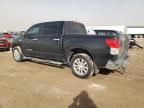 2013 Toyota Tundra Crewmax Limited продається в Amarillo, TX - Rear End