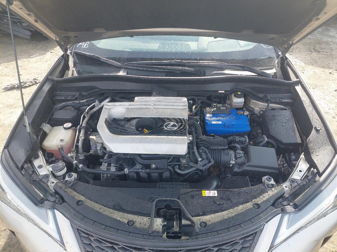 JTHY35BH1K2019401 - 2019 Lexus UX200 - #48265625
