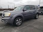 2014 Honda Pilot Exl للبيع في Wilmington، CA - Front End
