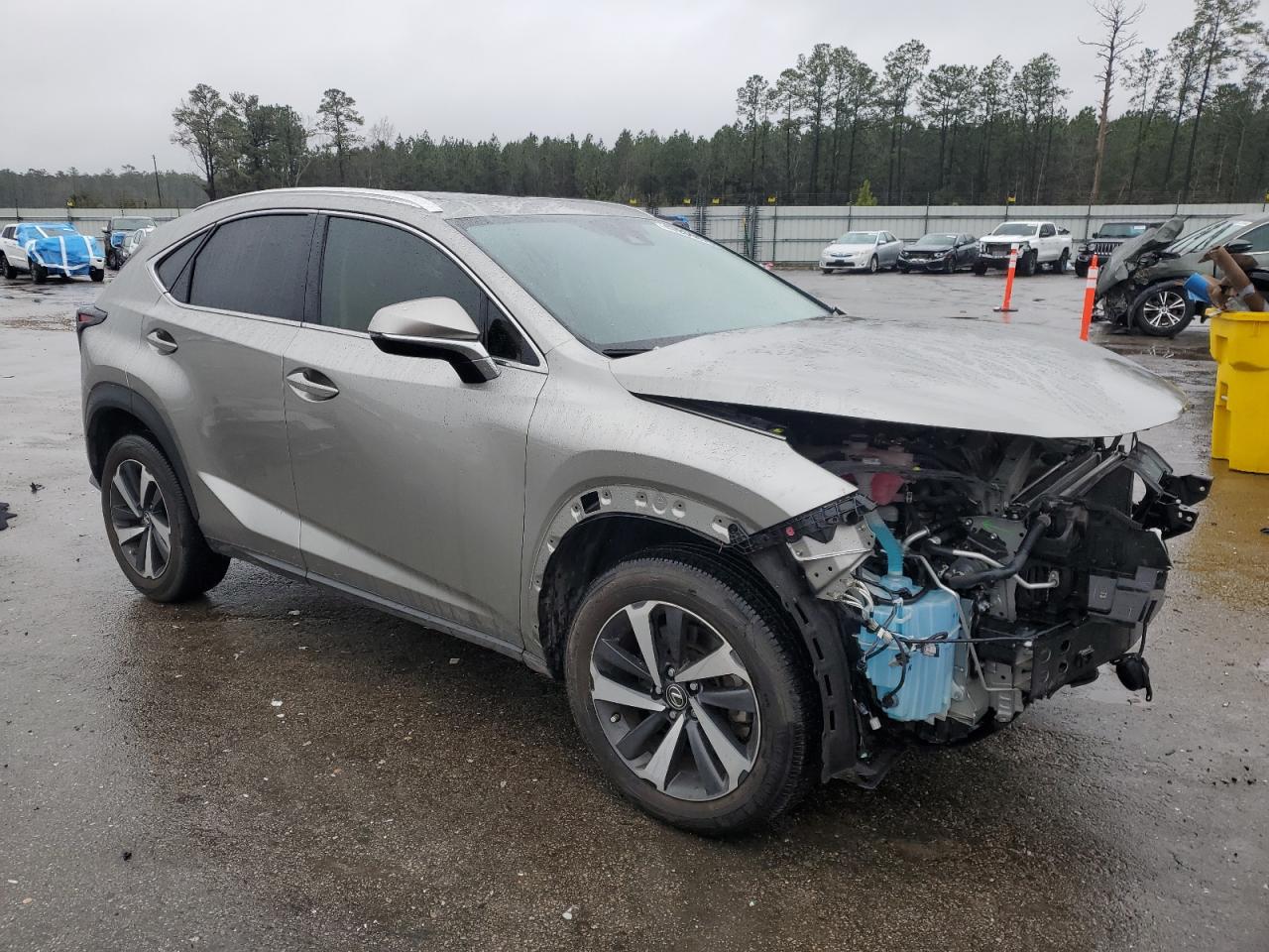 2021 Lexus NX - Image 4
