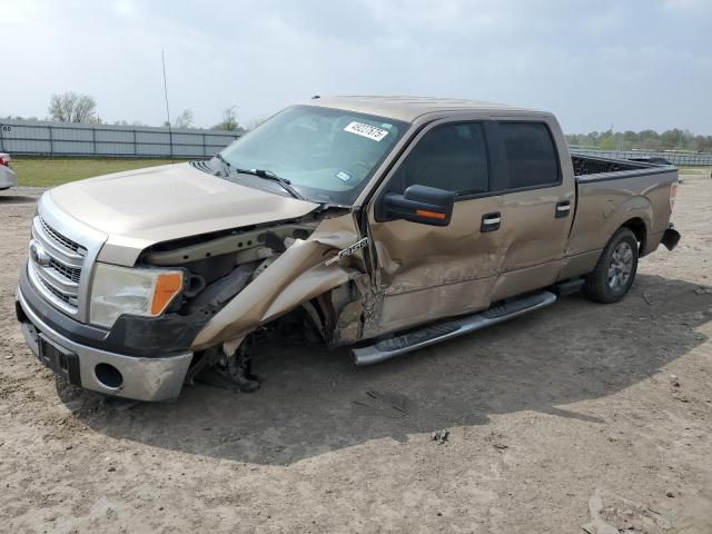  FORD F-150 2013 Золотий