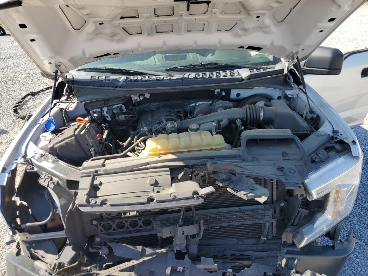 1FTEX1CB9KFC49403 FORD F-150 2019