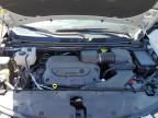 2024 CHRYSLER PACIFICA TOURING L for sale at Copart FL - TAMPA SOUTH