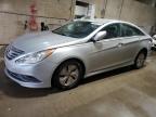 2014 Hyundai Sonata Gls for Sale in Blaine, MN - Vandalism