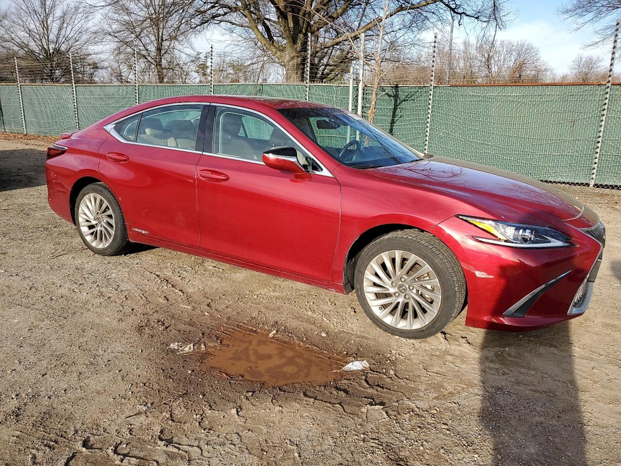 2020 Lexus ES - Image 4