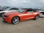 2013 Chevrolet Camaro Lt de vânzare în Wilmer, TX - Hail