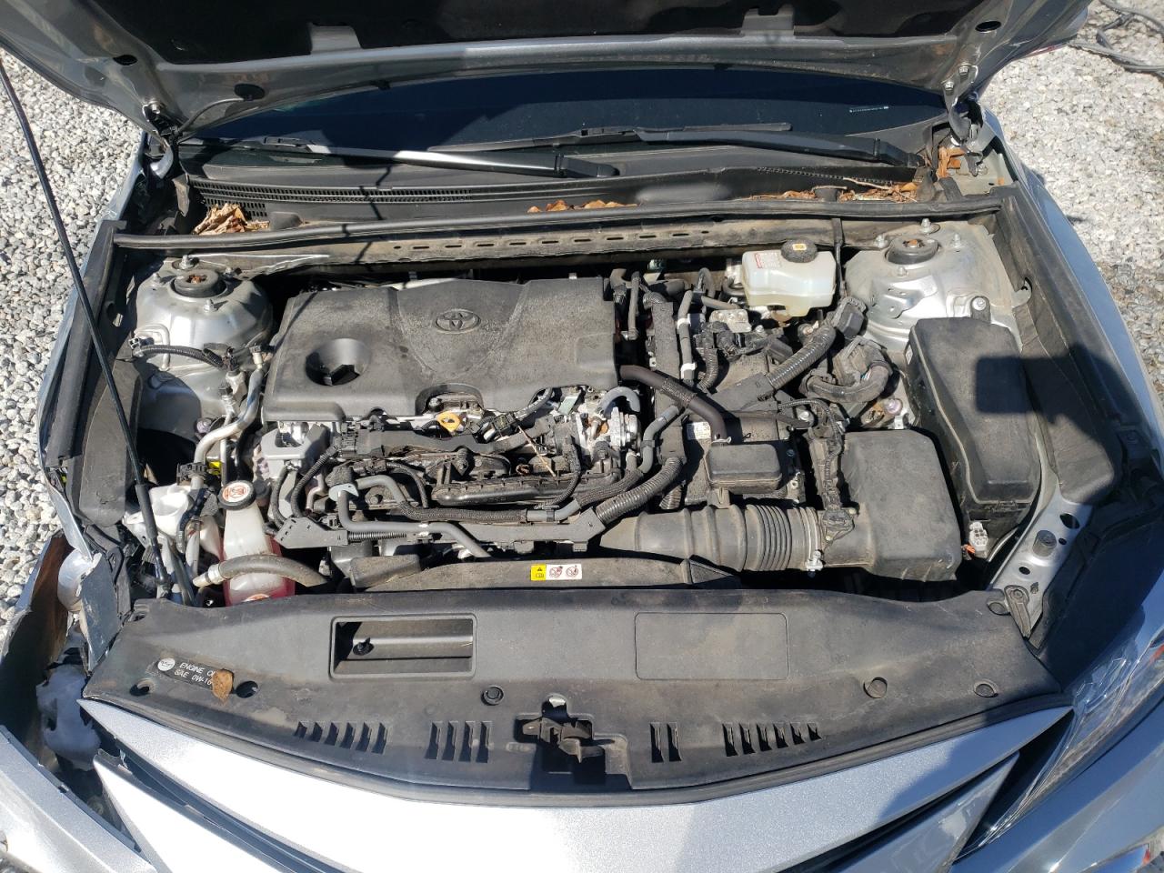 2023 Toyota Camry Xle VIN: 4T1F31AK0PU606193 Lot: 47167485