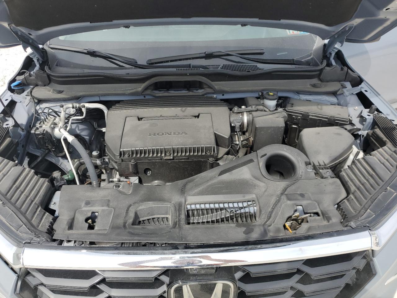 5FNYG1H80RB028412 HONDA PILOT 2024