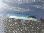 2024 Tesla Model Y  for Sale in Reno, NV - Side