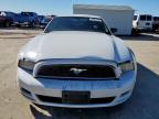 2014 Ford Mustang  للبيع في Grand Prairie، TX - Rear End