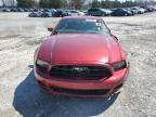2014 Ford Mustang  for Sale in Madisonville, TN - Rear End