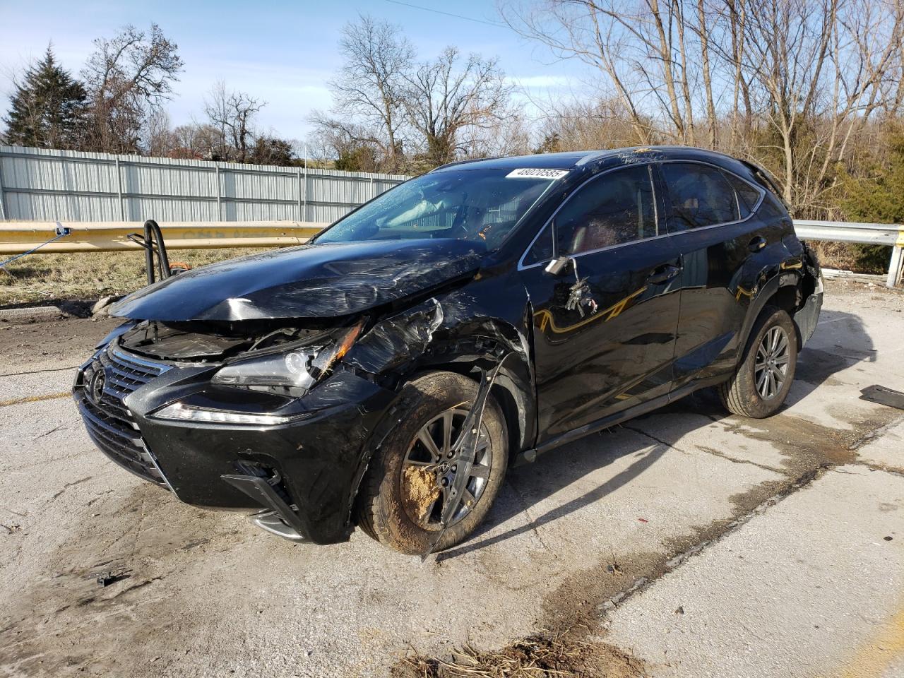 2018 Lexus Nx 300 Base for Sale in Rogersville, MO - Front End