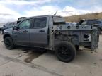 2024 Ford Maverick Xlt for Sale in Littleton, CO - Rear End
